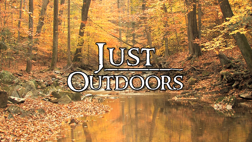 Just Outdoors - To Hudson Bay and Back: A Snowmobile Adventure